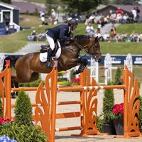 NEW! Tailgate Tent Experience at Traverse City Horse Shows