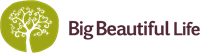 Big Beautiful Life Chiropractic and Wellness Big Beautiful Life Chiropractic and Wellness