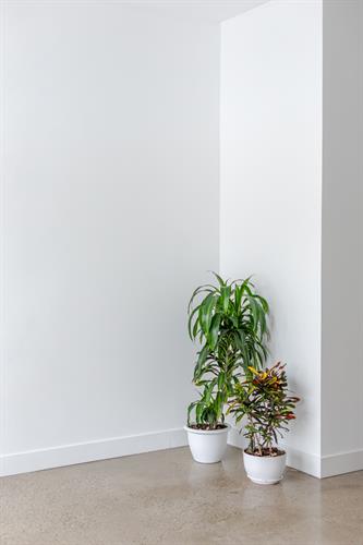 Gallery Image studio_jan_2025-6061(1).jpg