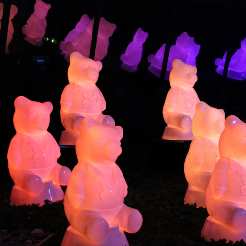 Light Up Dr. Bear Lightshow (Children’s National)