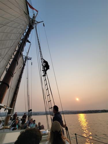 Gallery Image 20250801_200515.jpg