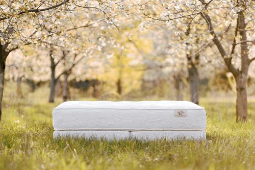 Gallery Image Bed-of-Roses-Mattress_in_a_Cherry-Feild-from-Harbor-Springs-Mattress-Co..JPG