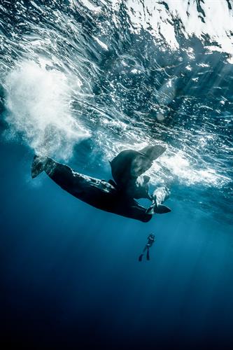 Gallery Image DSC00907.jpg