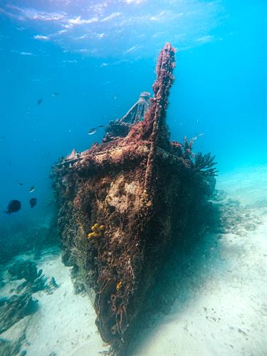 Gallery Image GOPR0287_1609180151261.jpg