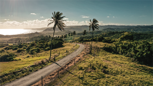 Gallery Image Screenshot_2025-02-20_at_21.50.20.png