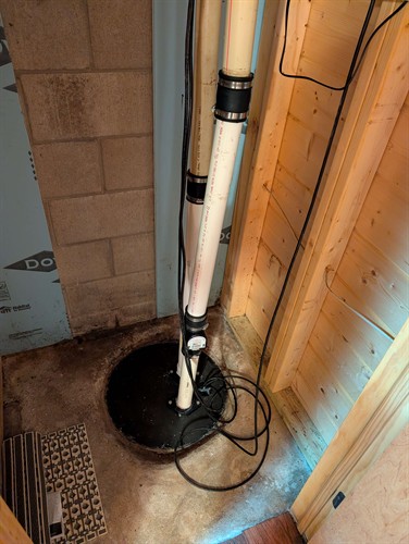 Sump pump stress test
