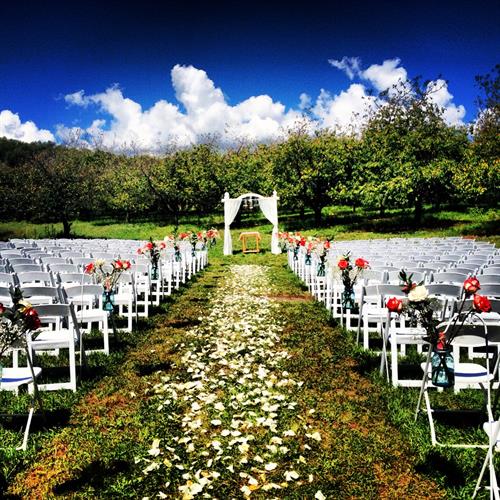 White Wedding Classic Chairs set up for a Ceremony