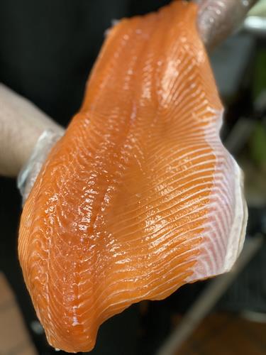 Fresh Fish