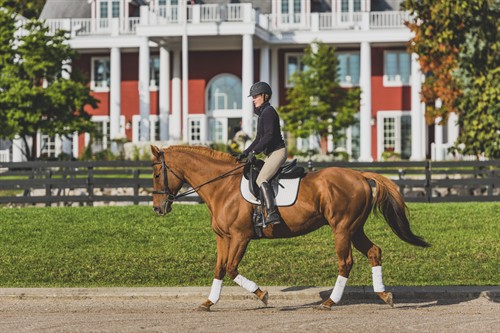 Equestrian Facility