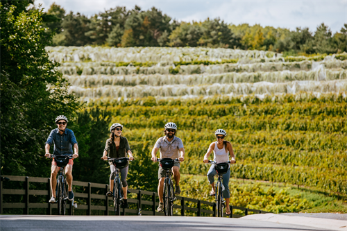 Biking at Black Star Farms
