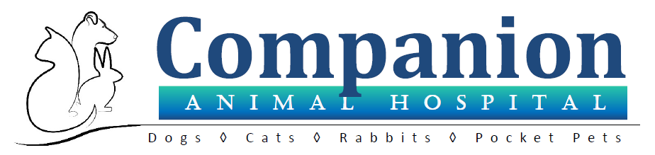 Companion Animal Hospital of Traverse City Companion Animal Hospital of Traverse City