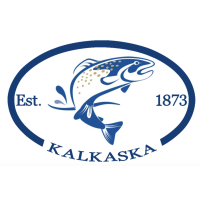 REQUEST FOR PROPOSAL: RFP #001-2024 Downtown Kalkaska Safety Action Plan