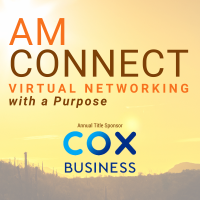Virtual AM Connect Hosted By The Weber Group