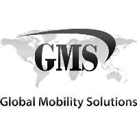 Red Ribbon Networking at Global Mobility Solutions