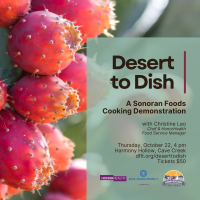 Desert Foothills Land Trust