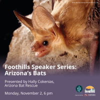 Desert Foothills Land Trust