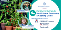 Blue Zones Project Scottsdale