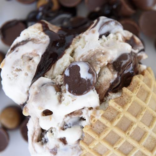 Gallery Image Buckeye_close_up.jpg