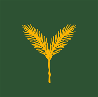 Yellow Spruce Roasters