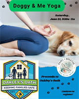 Wiggle Zone Doggy Daycare
