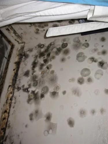 Gallery Image Asbestos-Mold-Lead-2.jpg