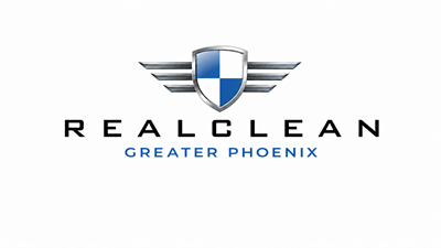 RealClean Aircraft Detailing - Greater Phoenix