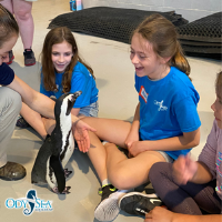 ‘Seas’ the Day! Register NOW for Camp Ocean at OdySea Aquarium