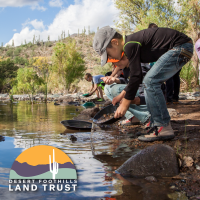 Discover the Wonders of the Sonoran Desert at Desert Discovery Day