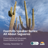 Foothills Speaker Series Presents: All About Saguaros