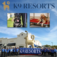 Scottsdale Residents Gather to Welcome K9 Resorts of Scottsdale