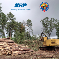 SRP & AZ Dept of Forestry & Fire Management Sign 5 Year Commitment for Continued Forest Restoration