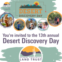 Discover the Wonders of the Sonoran Desert at Desert Discovery Day 2025