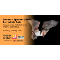 Sonoran Speaker Series Presents: Arizona’s Bats