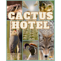 Desert Foothills Land Trust Presents ''Cactus Hotel'' Movie Night Under the Stars