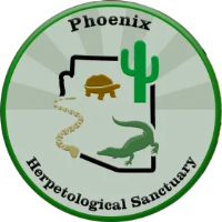 Phoenix Herpetological Sanctuary Celebrates 25 Years with Anniversary Fundraiser
