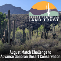 Desert Foothills Land Trust Launches August Match Challenge to Advance Sonoran Desert Conservation