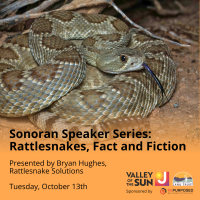 Rattlesnakes Fact and Fiction: Sonoran Speaker Series Tackles the Desert's Most Misunderstood Neighbor 