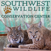 Southwest Wildlife Conservation Center Reminds Public of 24/7 Emergency Rescue Hotline