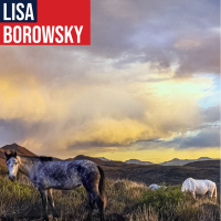 Mayor Borowsky Applauds New Protections For Salt River Horses, Calls For Long-Term Safeguards