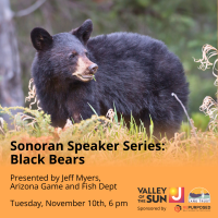 Sonoran Speaker Series Presents ''Understanding Arizona’s Bears''