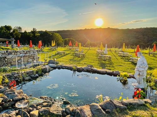 Sunset Pond Views