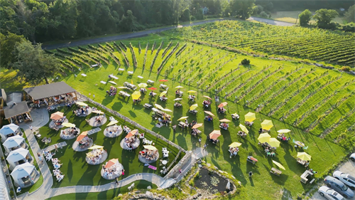 Drone View