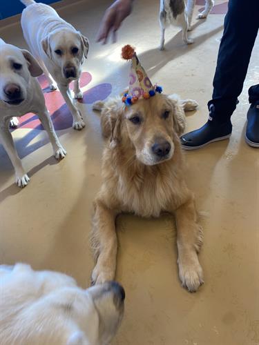 Gallery Image 1_(4).jpg