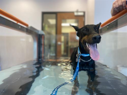 Gallery Image IMG_0096_(1).JPG