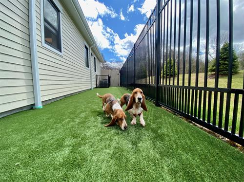 Gallery Image IMG_0235.JPG