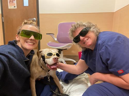 Gallery Image IMG_2286.JPG