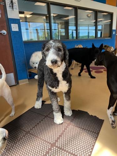 Gallery Image IMG_2468.jpg