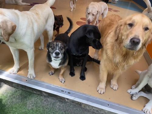 Gallery Image IMG_6379.jpg