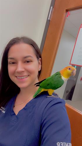 Gallery Image IMG_9093.JPG