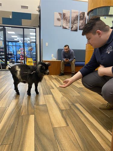 Gallery Image Noor_E_7.jpg